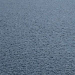 Meet your Posher, Claudia